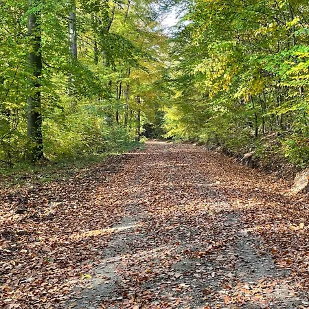 Appartement Hexenhüsli Waake Boesinghausen