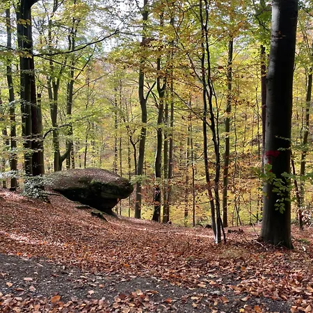 Appartement Hexenhüsli Waake Boesinghausen